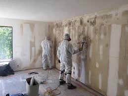 Why You Should Choose Our Mold Remediation Services in Patterson, LA